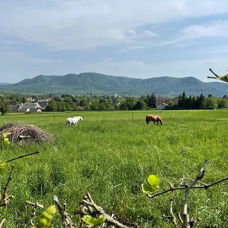 Appartamento Stupa-Rezi-Tatika-Haz Zalaszanto Esterno foto