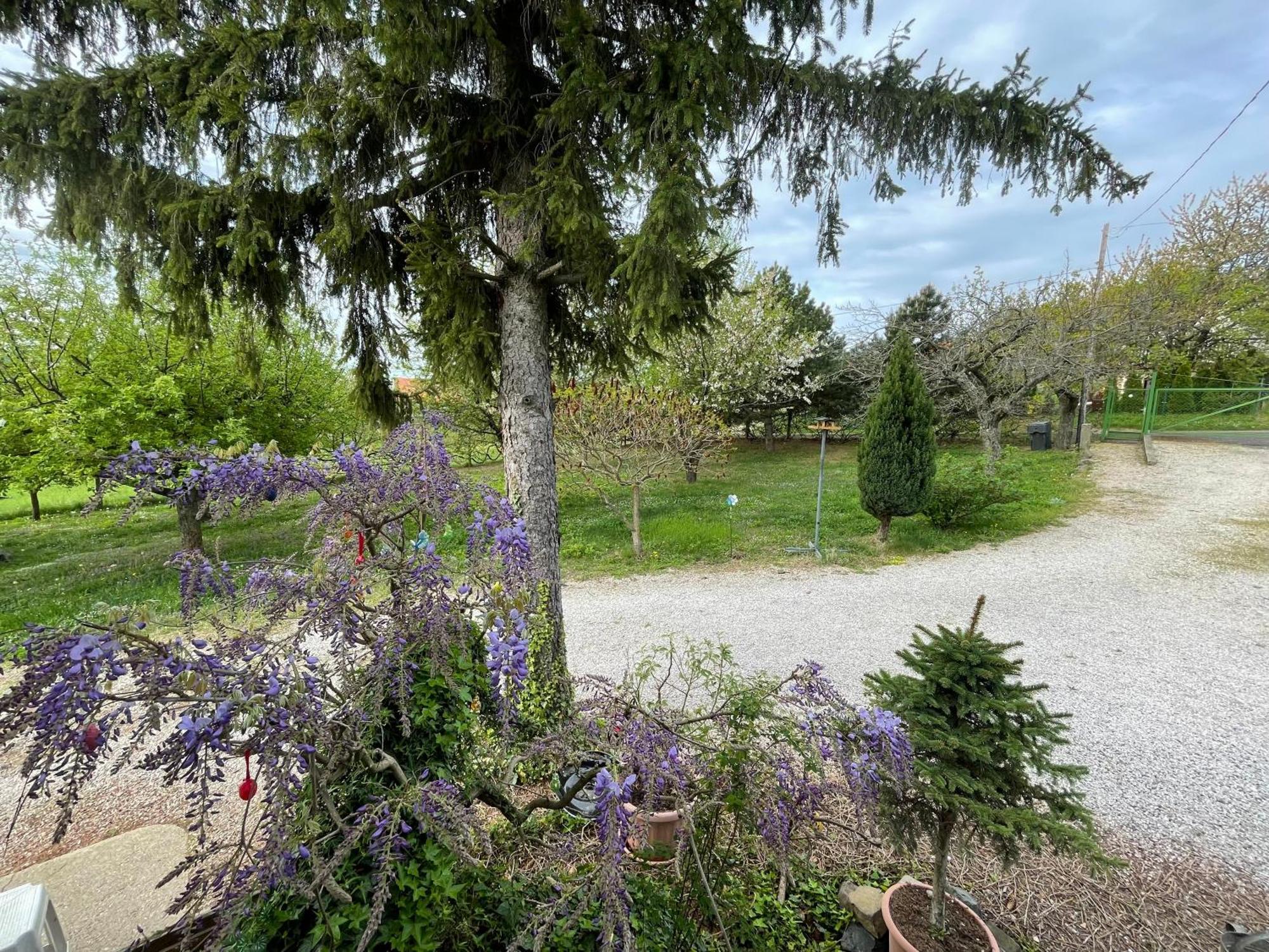 Appartamento Stupa-Rezi-Tatika-Haz Zalaszanto Esterno foto