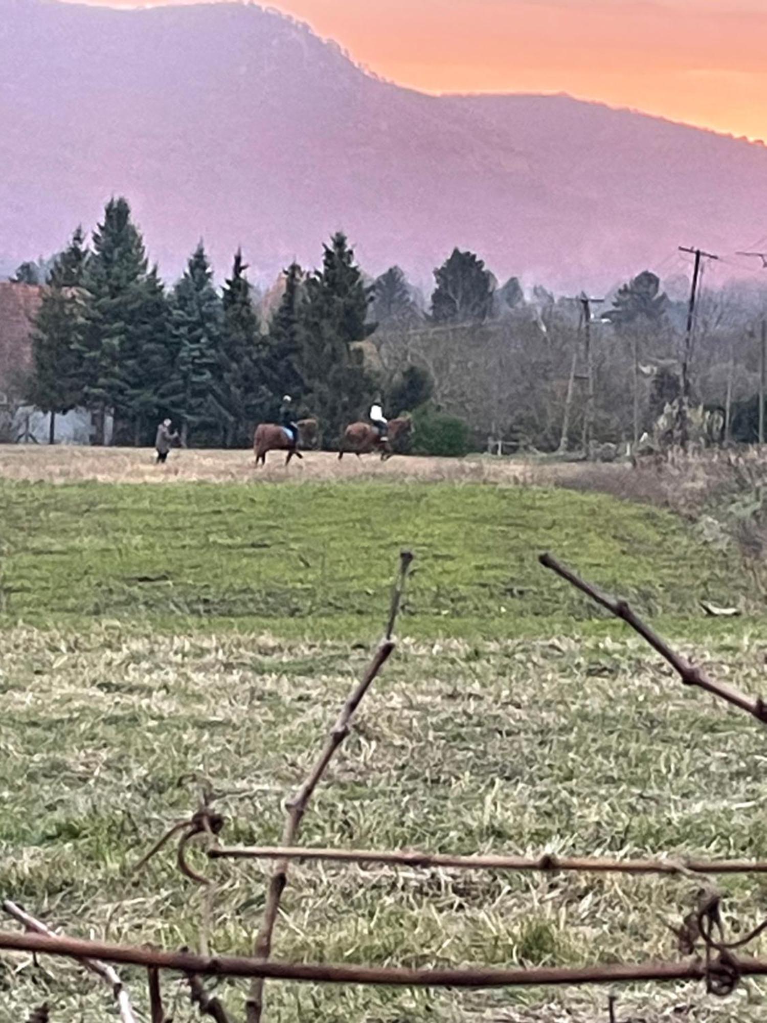 Appartamento Stupa-Rezi-Tatika-Haz Zalaszanto Esterno foto